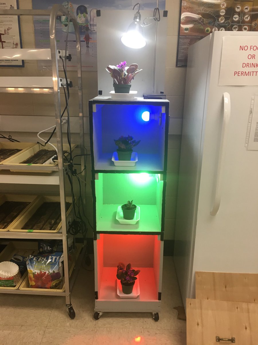 SJUGEPScience's tweet photo. Presenting the amazing technicolor cabinet of photosynthesis! https://t.co/DaPaKsEJKK