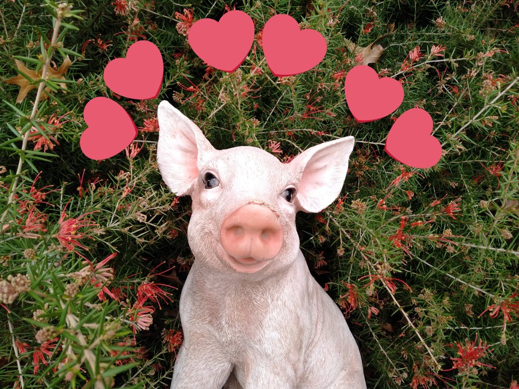 Struthcast's tweet image. It&apos;s Wednesday - Struth day! Listen to our new episode here 😍bit.ly/2miifWc 
#podcast #podpeople #Podbean #science #facts #scicomm