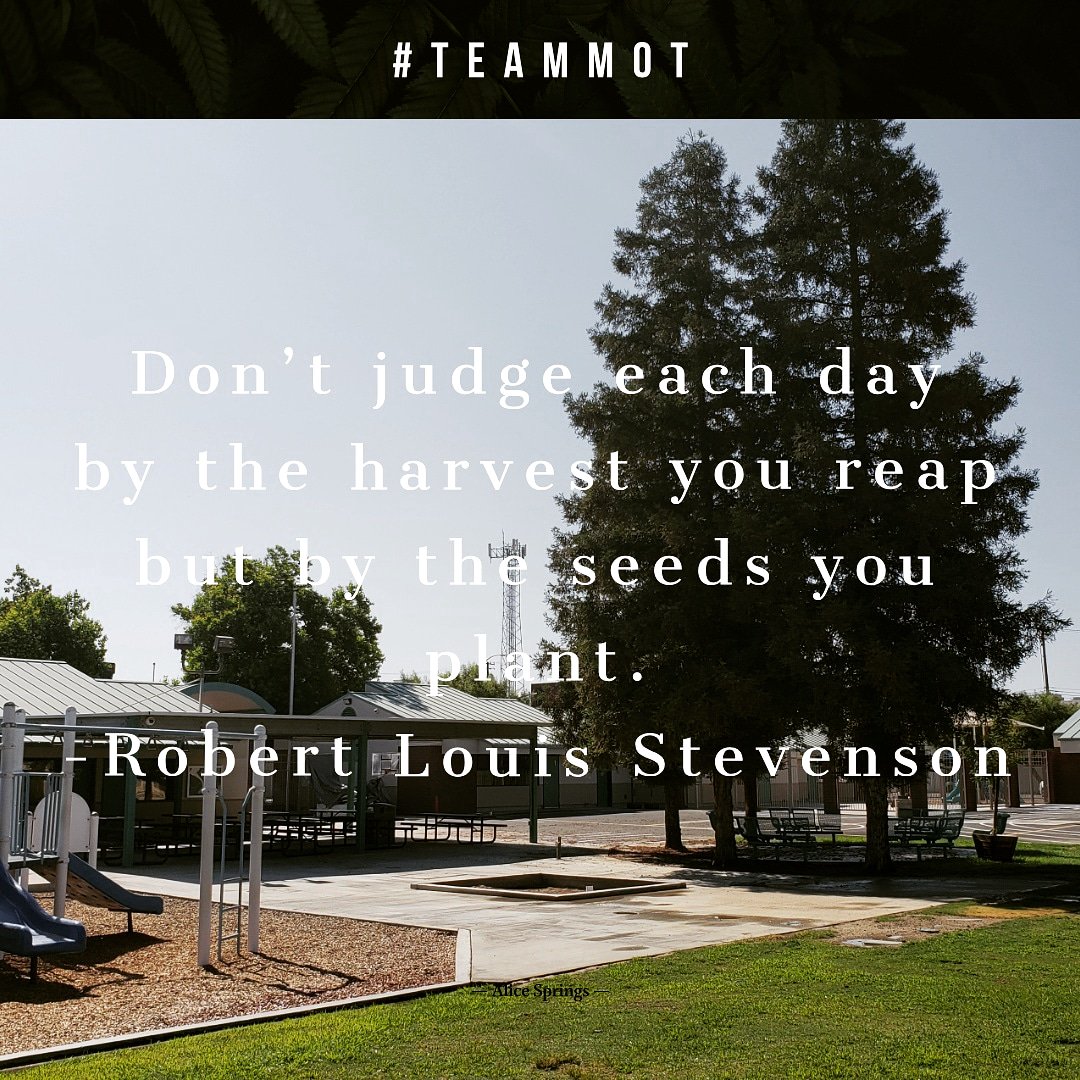 MOT_BCSD tweet media