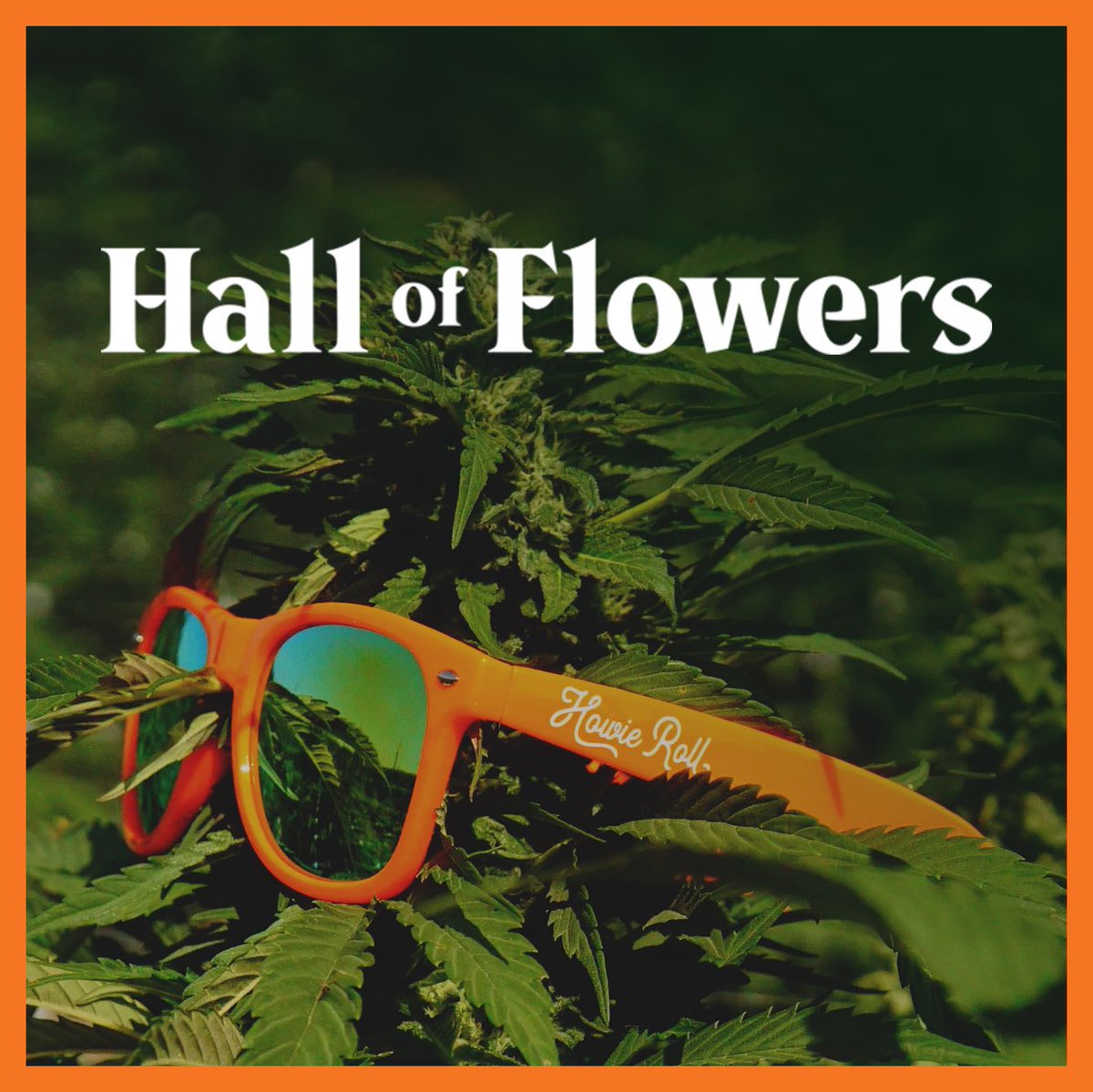 somarosafarms's tweet photo. Will you spot Howie at #HallofFlowers Santa Rosa? You never know, he may just roll up next to you and hand you a half-ounce. Howie will be skipping his regional bowling championship awards ceremony to be there, so if you see him, tell him it was the right thing to do. #howieroll https://t.co/dviTZXk0oM