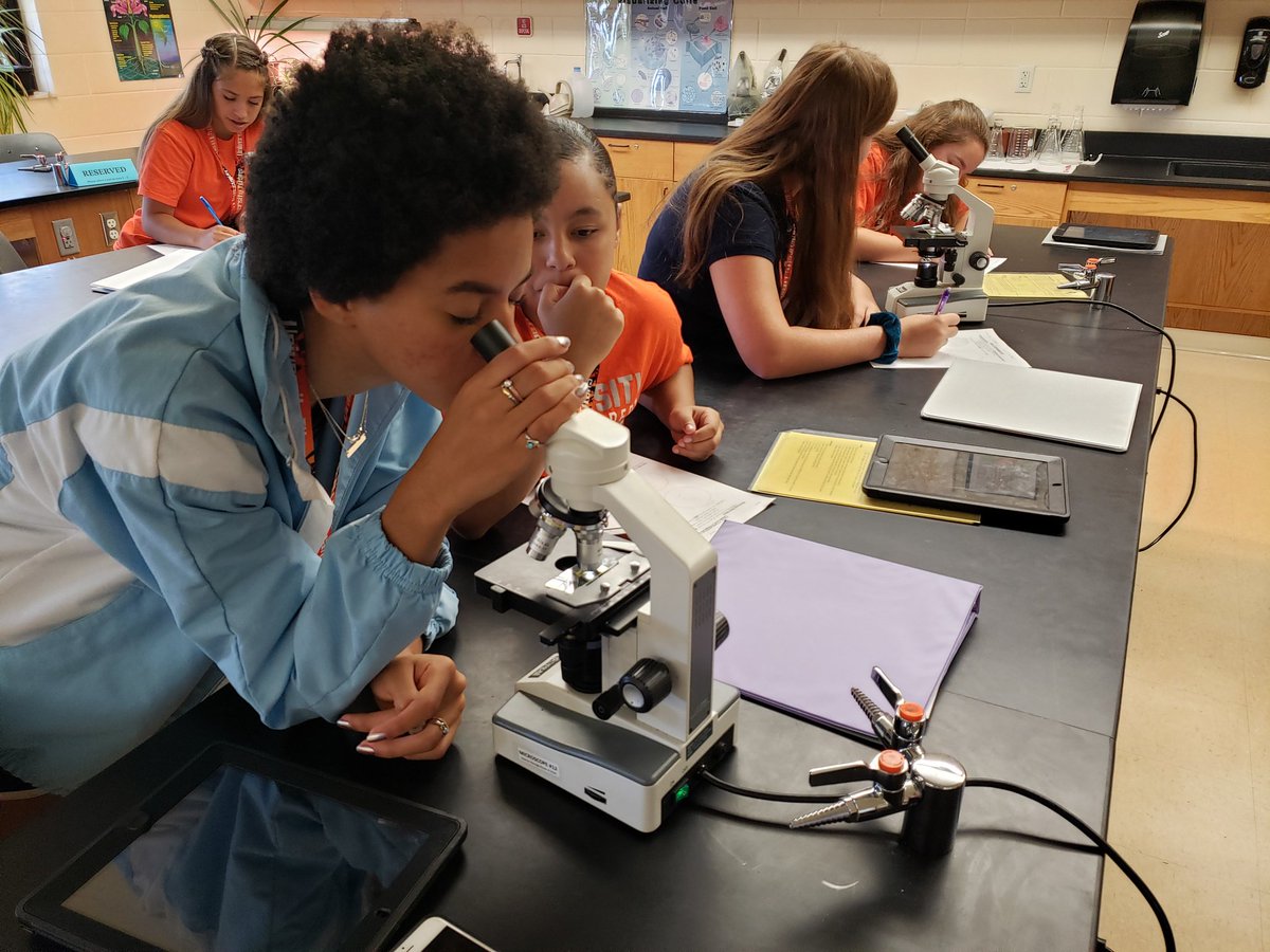 University High Cambridge AICE Program tweet media