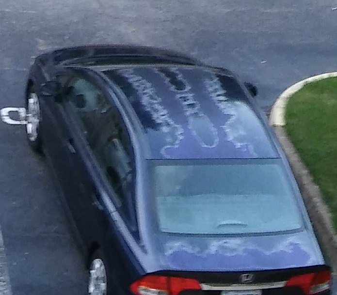 Debbie001's tweet photo. @claramaygriff Don't buy a Honda because #HondaPaintPeels and @Hondainamerica refuses  to pay to repaint it. This is the 3rd new Honda I have purchased. https://t.co/clMR3pQu1s