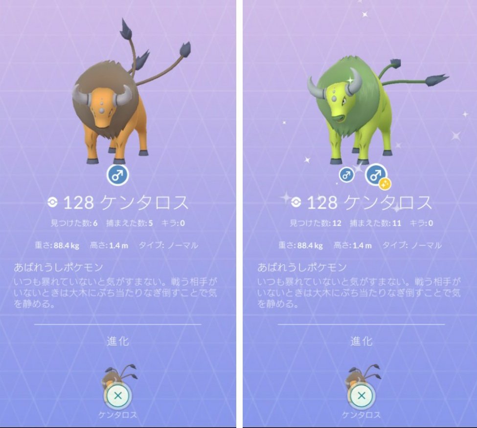 色違いケンタロス Twitter Search