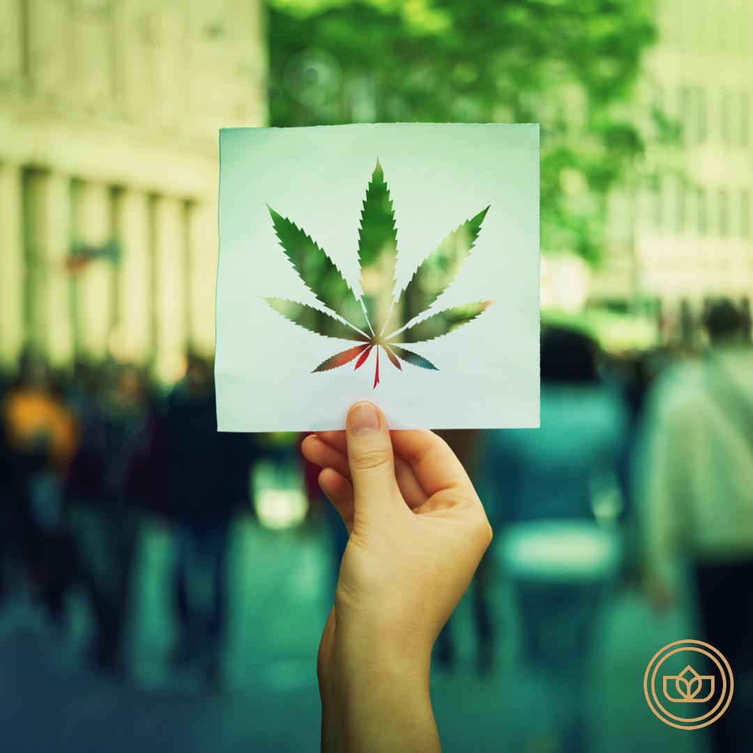 GetTheJoint's tweet photo. If you need help finding your weed crowd to spark with...let JOINT help. 🔥 Swipe through potential new weed friends to light up with. 💨 Get the app &amp; get JOINTED with your canna crowd…📲 https://t.co/qMuf0qS0fq #getthejoint #joint #cannabiscommunity #cannabisculture #cannalove https://t.co/hTM3iUwx3z