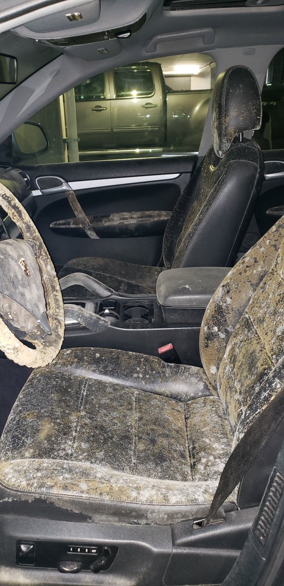 BlueTrooperUSA's tweet photo. Remember to keep your vehicle's interior dry to keep down on the growth of mold. #CarMold #Houston # https://t.co/rDPIBMtoBA