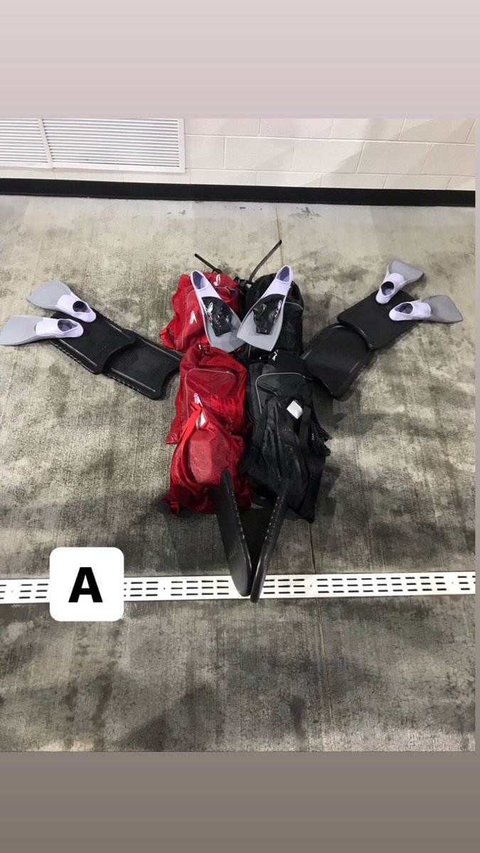 University of Lynchburg Swimming tweet media