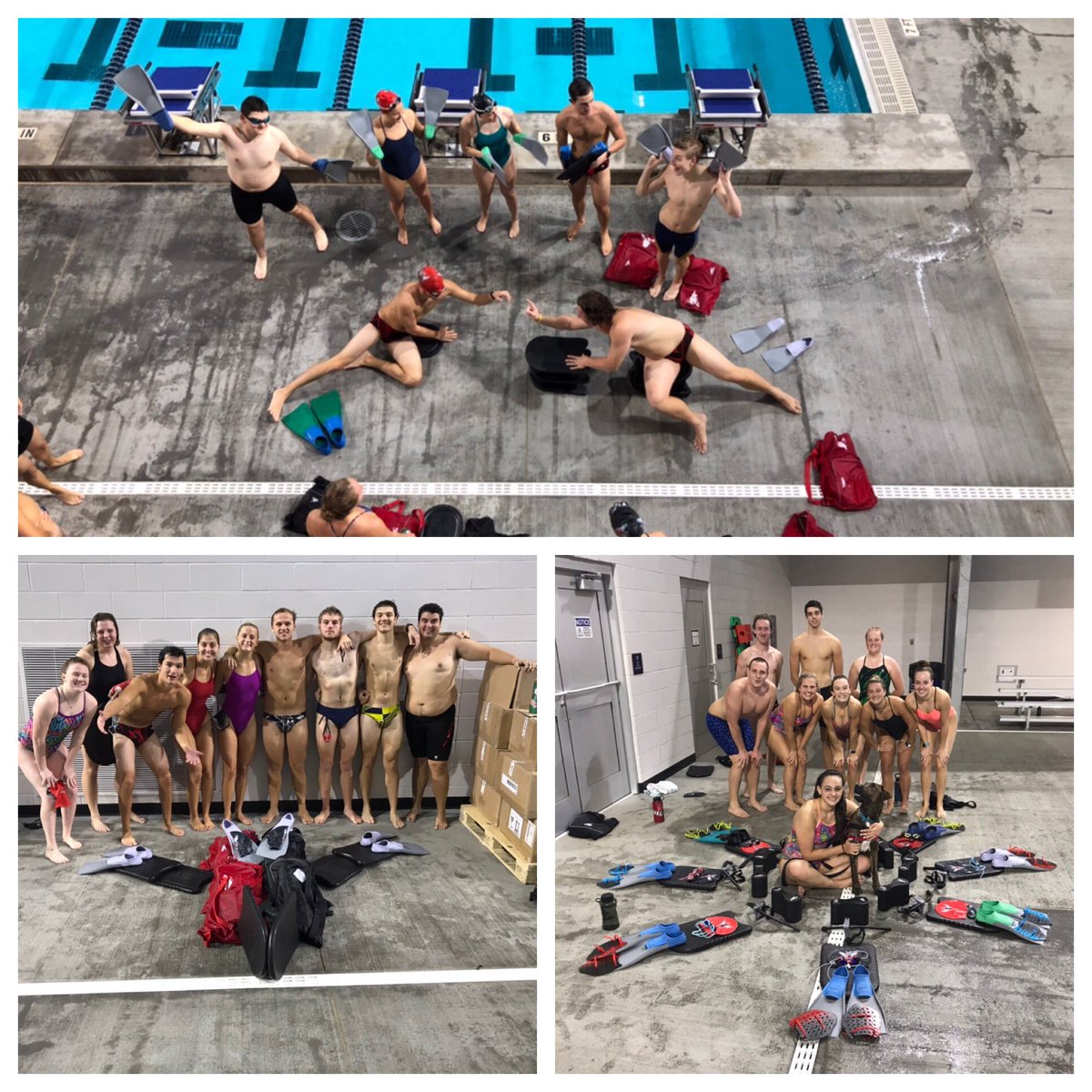 University of Lynchburg Swimming tweet media