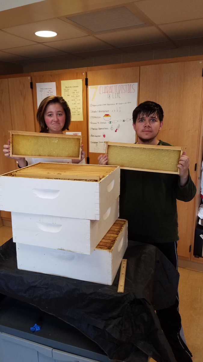 That heartbreaking moment robber bees attack your beehive and clean-out over 60pounds of honey 5 days before your scheduled honey harvest.