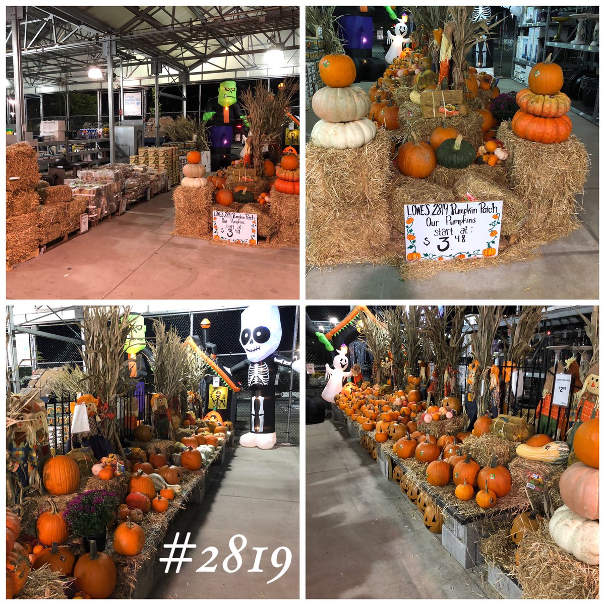BarbTaylor06's tweet photo. Gotta love the fall season!!!! #lowes2819 is ready for our customers for all their fall needs!! #district875 #R7tweets #fall #harvest https://t.co/hf7jgePQgW