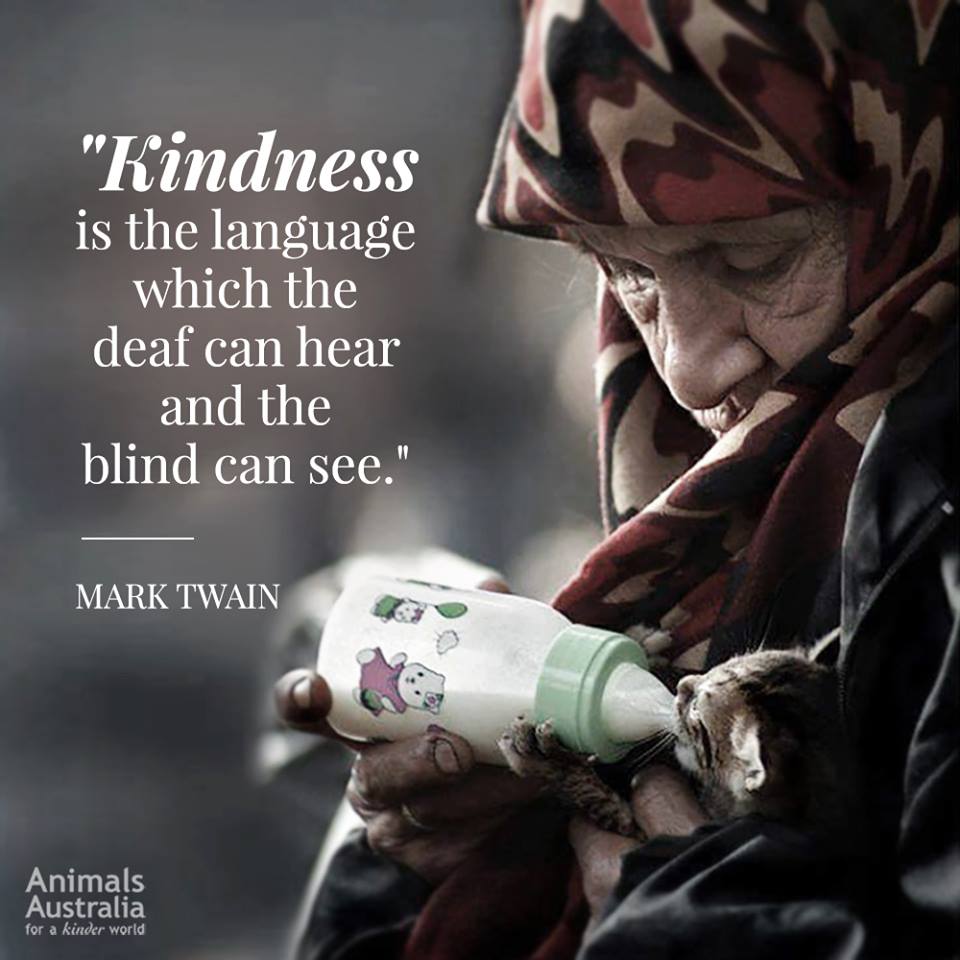 AnimalsAus's tweet photo. Kindness is the language that unites us all. ♥️ https://t.co/dcWjSIGf62