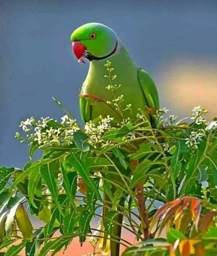 Pradeep94576701's tweet photo. https://t.co/9IzpgtfBUy