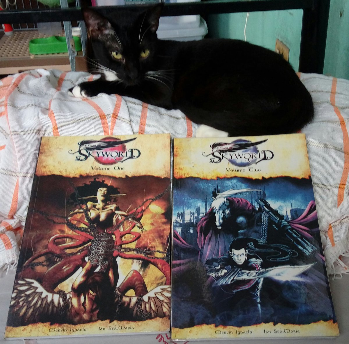 mayangpusa's tweet photo. Now Reading #Skyworld with my swerteng aswang #Crispin from #TRESE #ianstamaria #mervinignacio https://t.co/HjneeskIQ4
