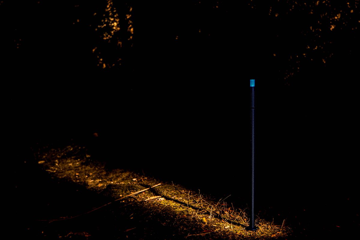 RADAngling tweet media