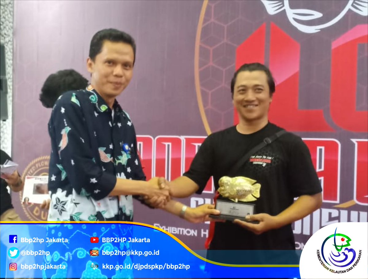 bbp3kp's tweet photo. #sobatbalbes pecinta ikan hias, ini dia Grand Champion dari 418 kontestan asal 15 daerah yang ikut kontes ikan Louhan kerjasama Satker @bbp2hp dan Djoak United Flowerhorn Indonesia (DUFI) pd 13-15 September 2019 lalu di Satker @bbp2hp Cibinong Bogor (15/9). Jambulnya gemesin ya? https://t.co/rYgl077pRS