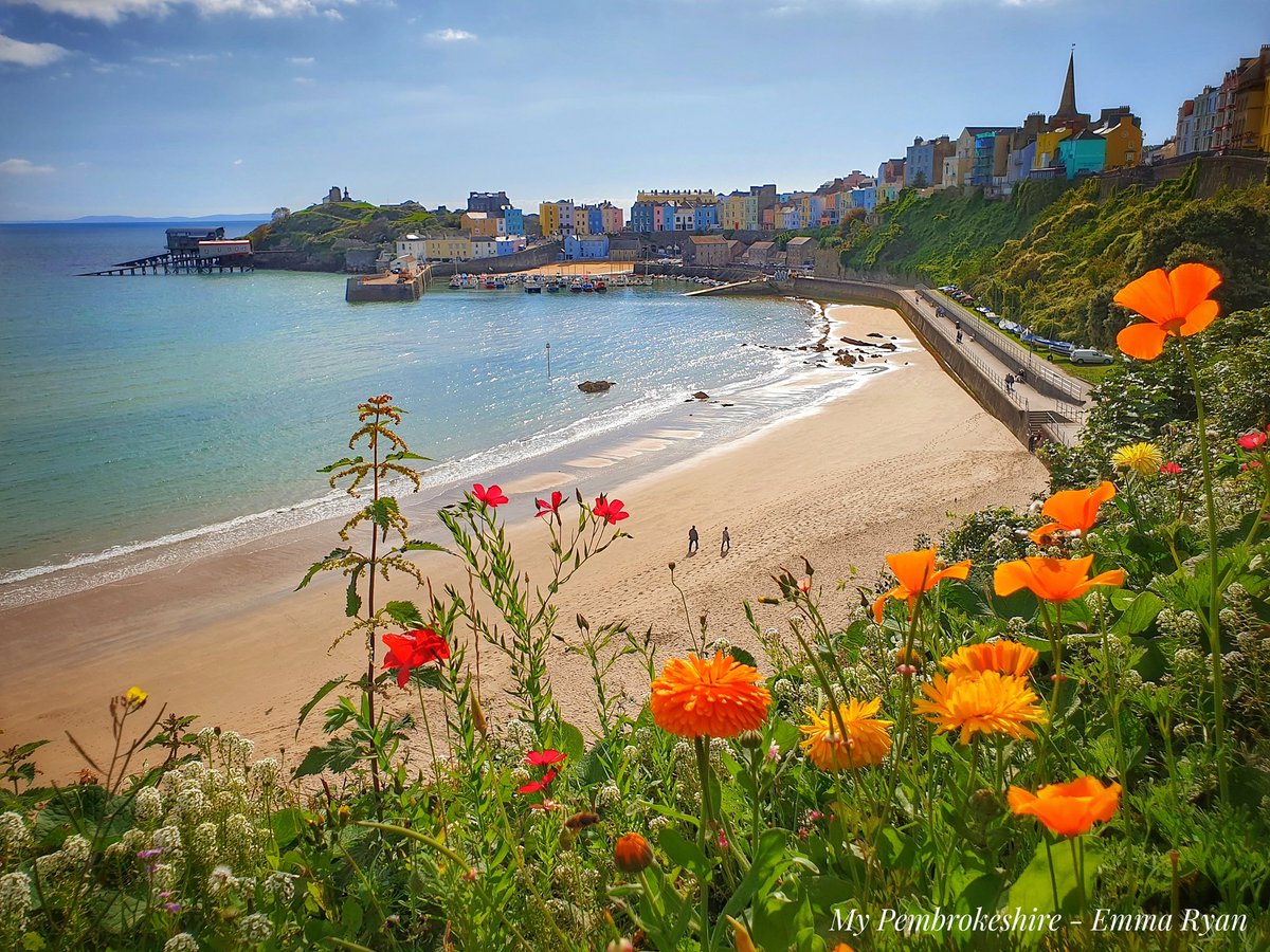 MyPembsEmmaRyan's tweet photo. Beautiful Morning in Tenby yesterday @ruthwignall @kelseyredmore @VisitPembs @TenbyOfficial @TenbyVG @visitwales @DerekTheWeather @behnazakhgar @itvcoastcountry @ItsYourWales @FBMHolidays #pembrokeshire #tenby https://t.co/YDj05NbSzf