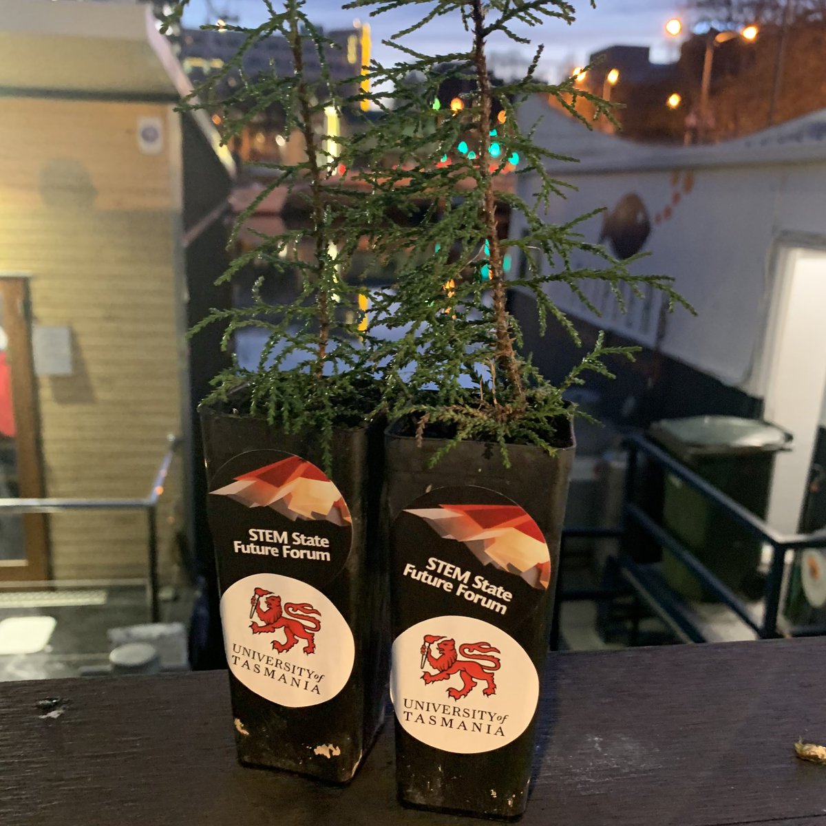 vegdoctor's tweet photo. Great event @UTAS_ showcasing successful Uni & Industry engagement. UTas is trusted, pragmatic & creates globally relevant outcomes from place-based research. Well done UTas! #stemstate2019
#STEM #industryresearch #UTas #networking #realstories @TasInAg #freehuonpineplant https://t.co/Zv4ZyS9hdj