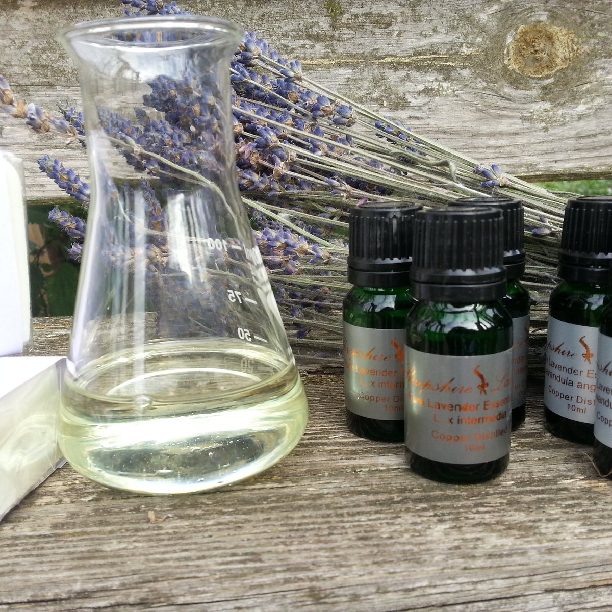 lavanda_mia's tweet photo. Literally a cure all lavender essential oil smells good too! #relax #stressreliever #healing #soothesbites #antiinflammatory #healsburns #headachereliever #sleepinducer #calm #hayfeverreliever #antiseptic #waspstingsoother #mothdeterent #mosquitodeterent https://t.co/R04FFV1Kp6