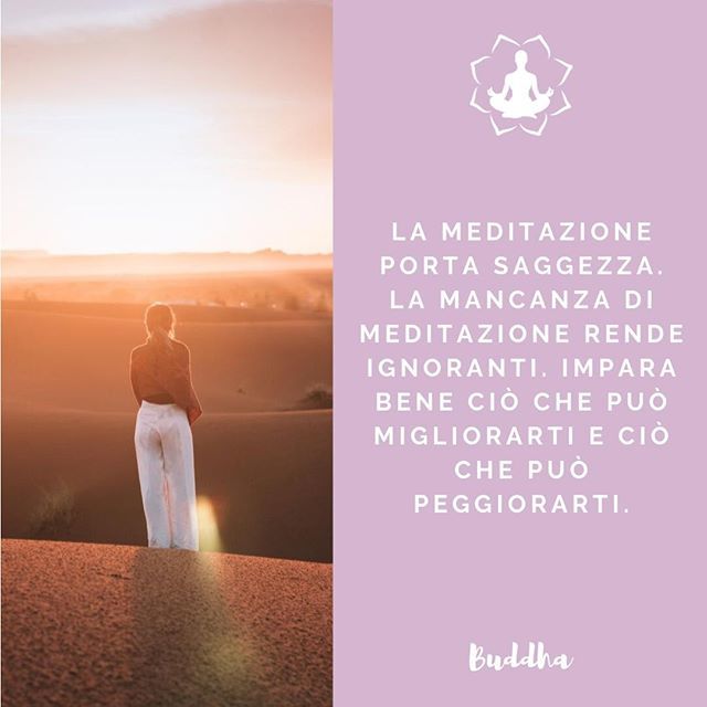 Meditazione Zen Meditazionezen Meditazione Aforismi Aforisma Frasi Ispirazione Saggezza Citazioni Meditare Cambiamenti Crescitapersonale Like4like Buongiorno Motivazione Felicita Frase Frasedelgiorno Frasi Sicambia