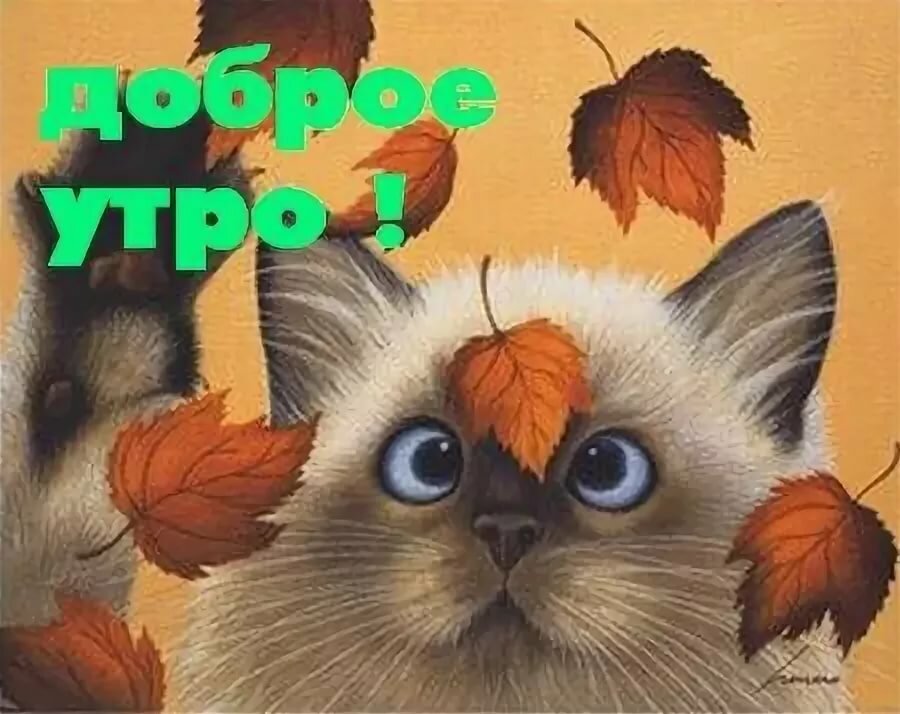 Смешные осенние картинки доброе утро, парень девушка