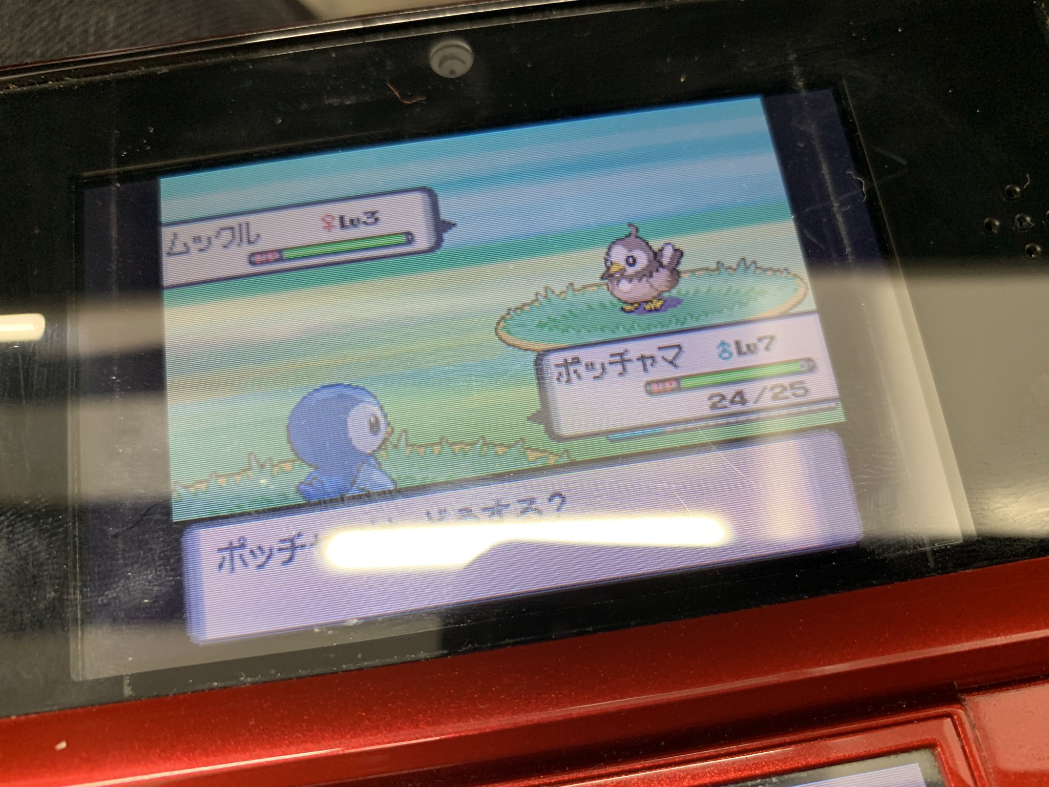フジッピー Aliceb ポケモンダイヤモンド初期化してポケモンもらったからレベル上げしてたらまさかの色違いムックル モンスターボールまだ貰ってないから捕まえられねぇ 今の小学生は知らないだろう ダイヤモンドの色違い出現確率 T Co