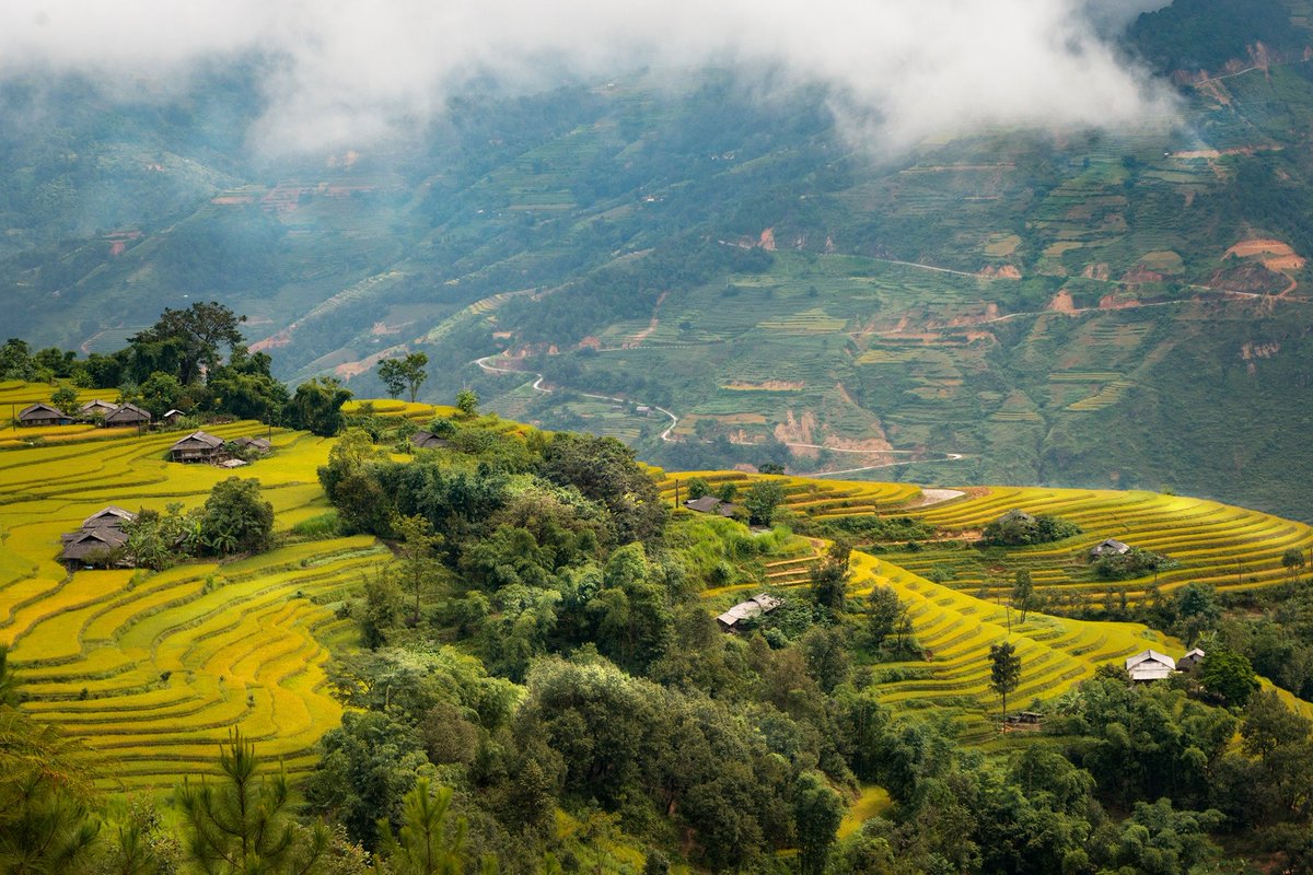 nhatlongtravel's tweet image. Ha Giang, Viet Nam

Golden Season.
See more: bitlylink.com/ACZZo
#hagiangtrip #hagiangtravel #vietnam #amazingvietnam #travelblogger