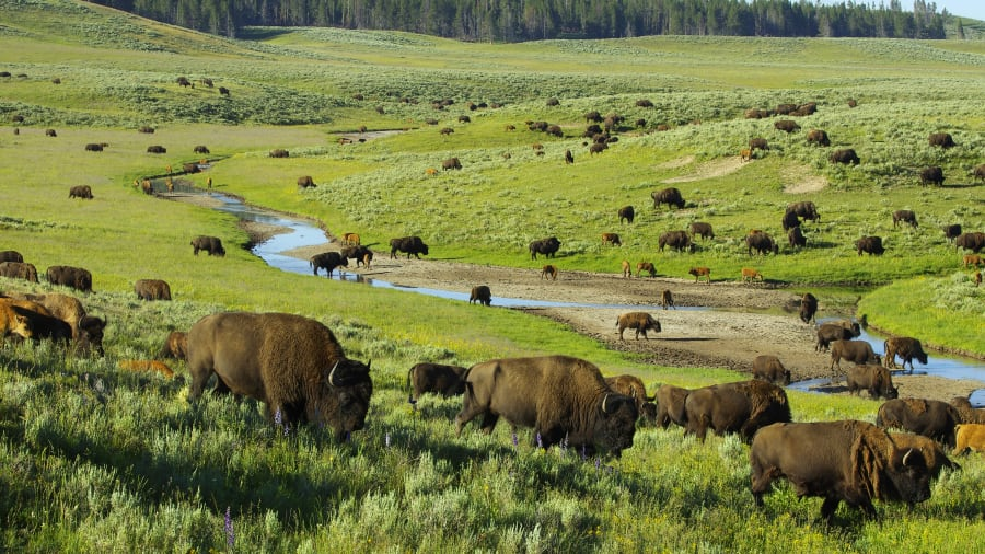 CNN's tweet photo. Here's where you should travel in 2020 https://t.co/hYB6cR7MhS https://t.co/GT5FjoWkBh