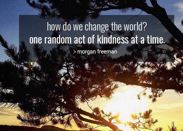 STJ Lower School tweet media