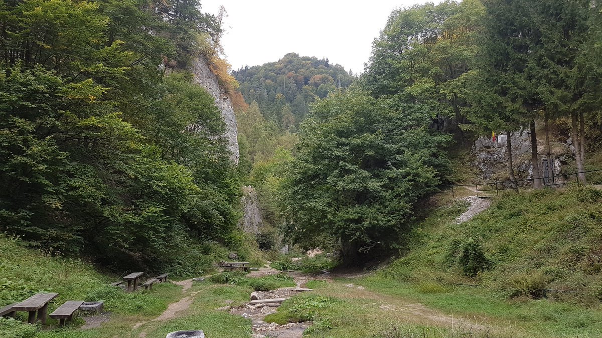 Gorgous #hike yesterday from Brasov to the #ski resort of Poiana Brasov. This was via Solomon's Rocks and some very steep #mountain woodland. 

The latest step in my tour of #romania 

rjontour.co.uk/europe/romania/

#EarlyBiz #WednesdayThoughts
#WednesdayWisdom #WednesdayMotivation