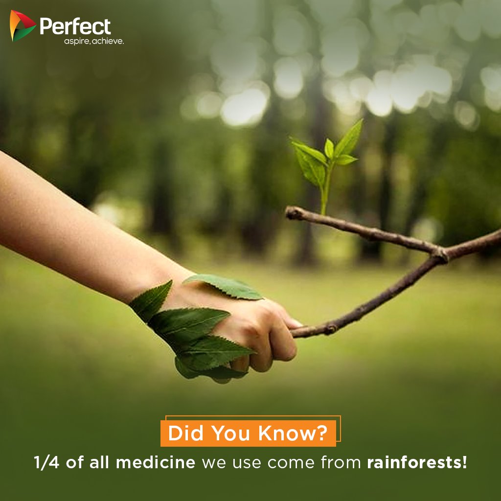 perfectgroup2's tweet photo. Save Trees, Save Environment & Save the Future
#DidYouKnow #PerfectEnvironment #PerfectGroup #SaveTrees #EnvironmentFacts https://t.co/d59W5CFT6C