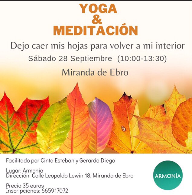 ArmoniaMiranda's tweet photo. Llega el Otoño 🍂, los árboles se desprenden de sus hojas ya caducas y ralentizan su vitalidad para volver a resurgir en primavera con nuevos brotes. Nos desprenderemos de lo que esta obsoleto en nuestras vidas para recogernos en la quietud de nuestro interior y redescubrirlo.1/2 https://t.co/zxOIlbCDgn