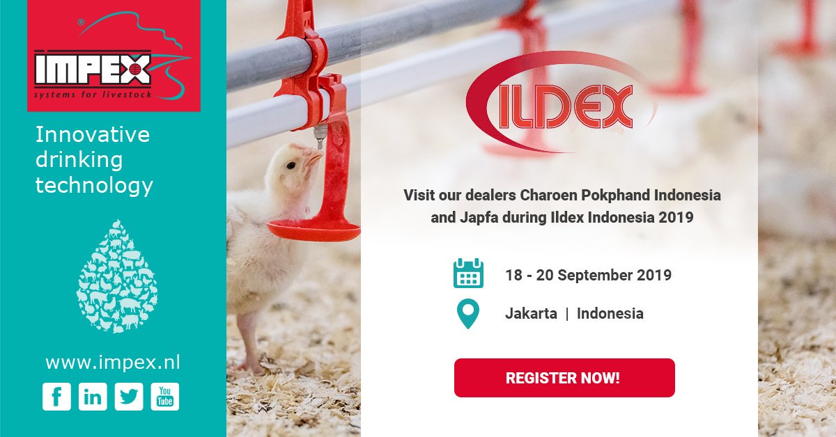Today the <a href="/ildexexhibition/">ILDEX</a> in Indonesia started. Area Manager Olaf Van Steenis from Impex and our dealers Charoen Pokphand Indonesia and JAPFA are happy to welcome you!

#livestock #poultry #innovative #solutions #Ildex #Indonesia

Register now!
impex.nl/en/agenda/ilde…