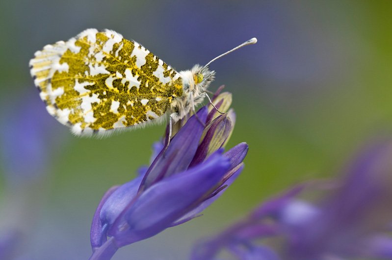 화를
한번씩 낼 때 마다

좋은 일들이
하나씩 사라지고

분노를 
한번씩 표출할 때 마다

행복이 
하나씩 떠나 간답니다

웃고 사세요
행운이 더 많이 찾아올거예요