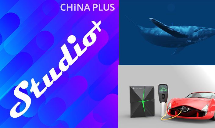 CGTNRadio's tweet image. Listen live to #StudioPlus, a daily talk show discussing matters on Chinese society, science, economy&amp;amp;culture, as well as international events. 👉 bit.ly/2lWolLX
-Anger over blue shark eaten at a seafood festival in UK
-A game changer is coming for electric car owners