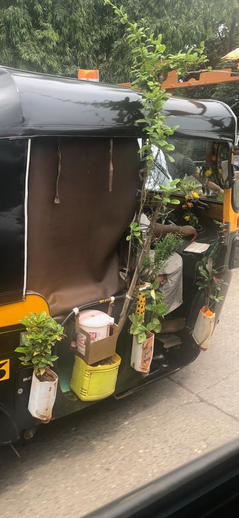 A little bit of green to take away your blues 🙃 Came across this pleasant sight of an auto-rickshaw covered with plants on the way to shoot today.  Extremely proud of him and his efforts to go green in his own little way.  #GreenWorld
