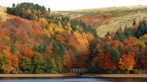 6littonmill's tweet photo. How about an Autumn Break in the Glorious Peak District.
We have available dates in Oct &amp; Nov 2019 at great prices!
See https://t.co/BbUvFFNaEC https://t.co/1NBboWvCxR