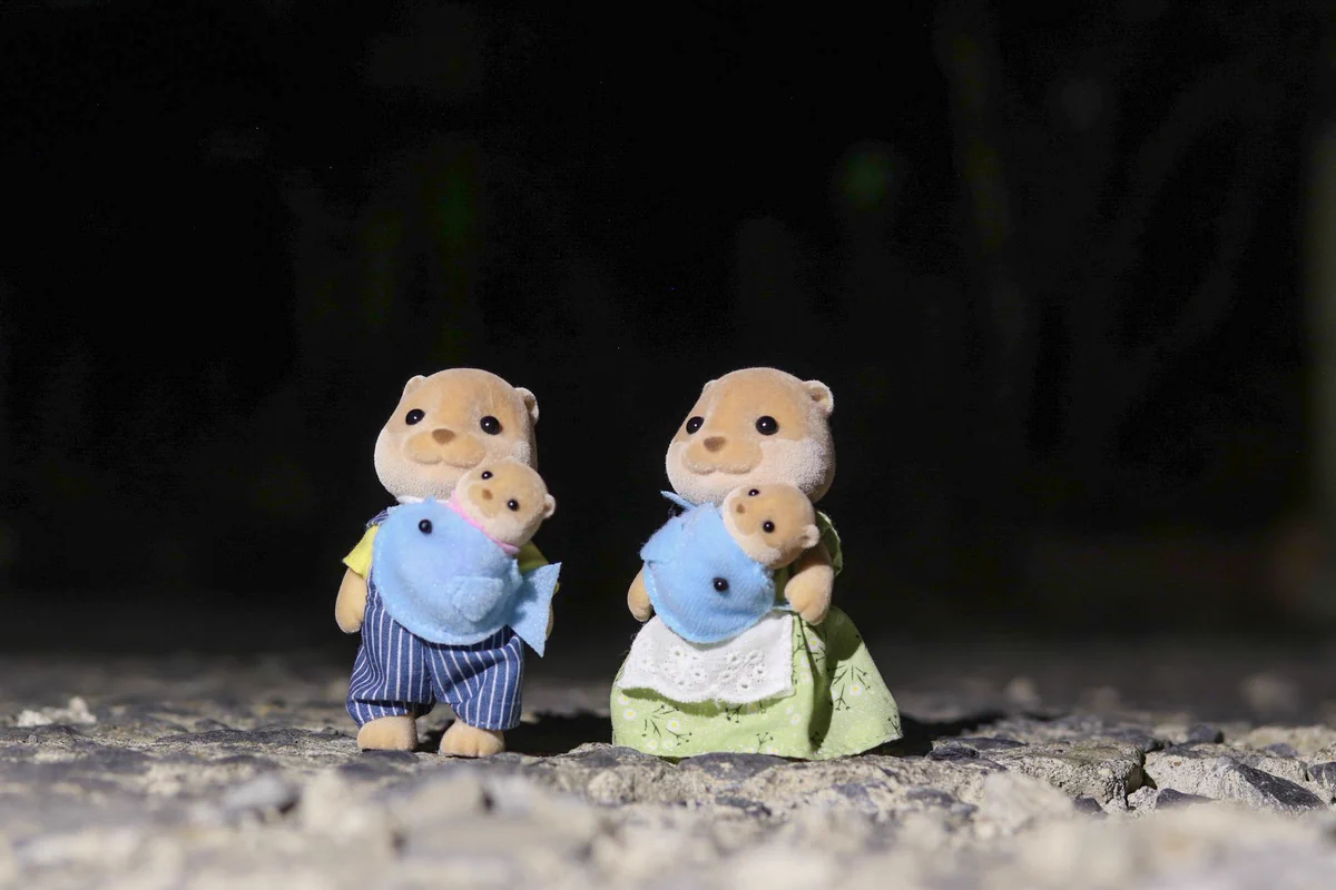 夏の終わりがテーマの素敵な写真になるはずがwww村を焼かれたカワウソファミリーにwww