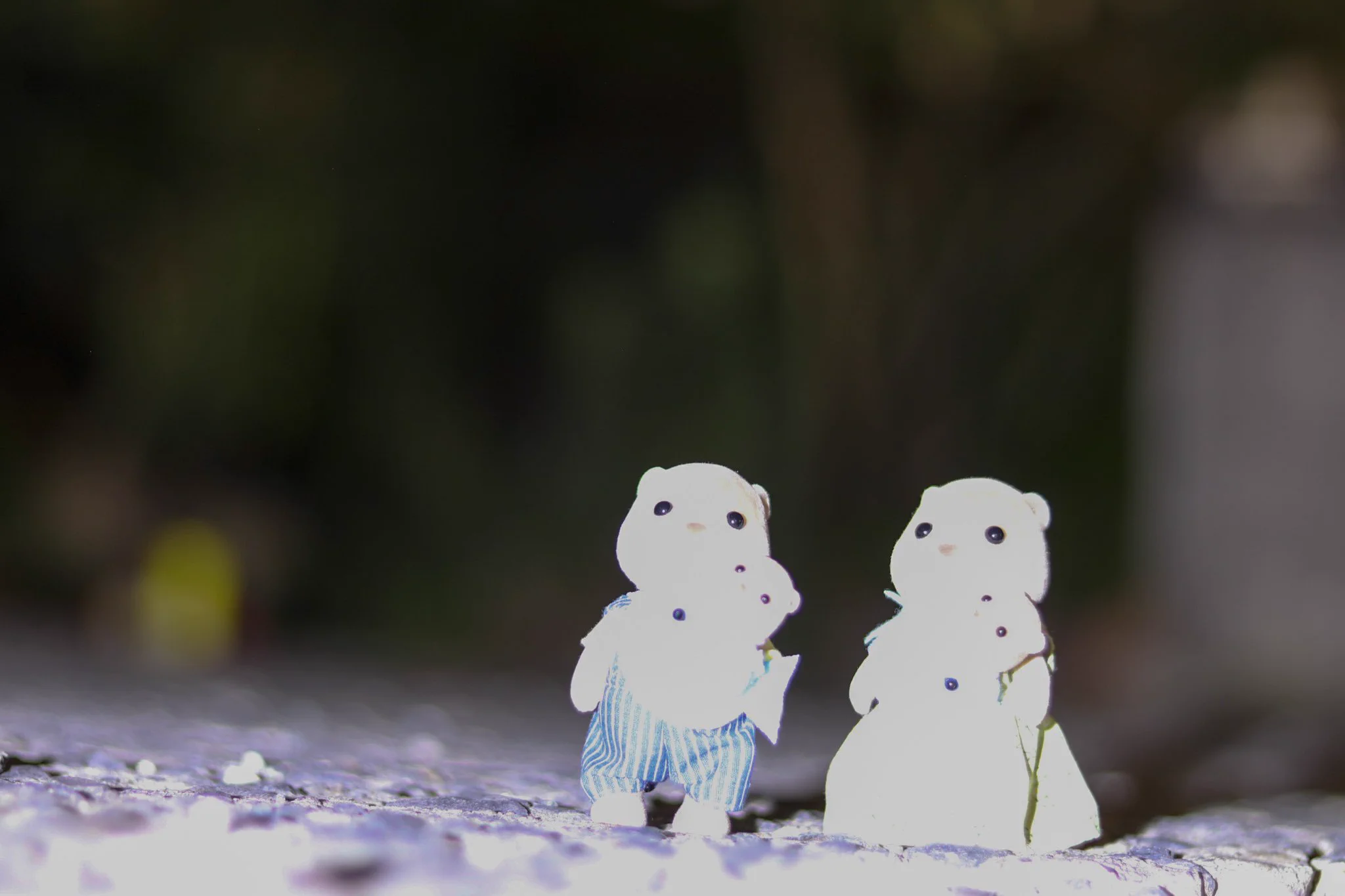 夏の終わりがテーマの素敵な写真になるはずがwww村を焼かれたカワウソファミリーにwww