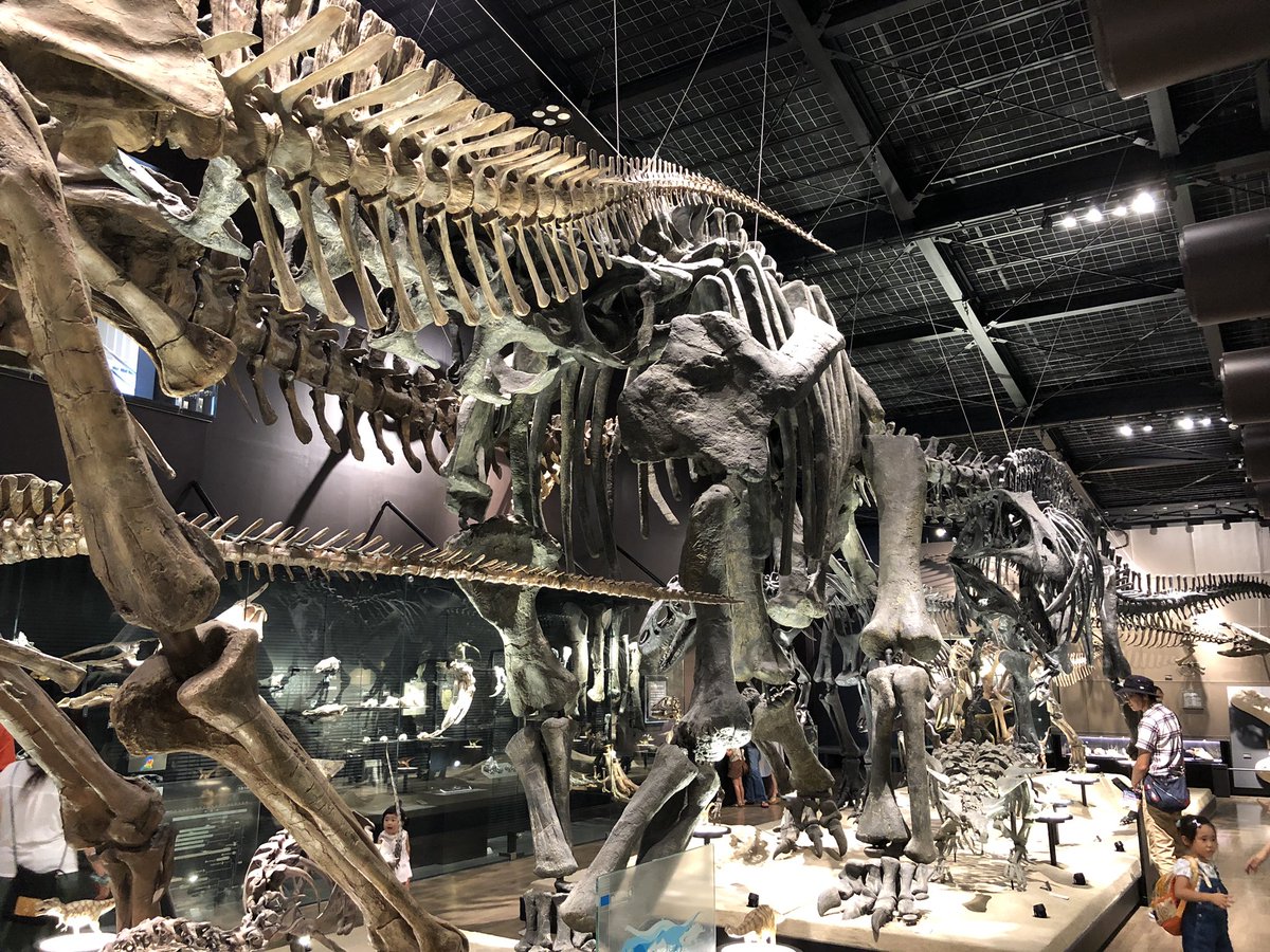 黒坂 岳央 英語多読講師 経営者 作家 恐竜博物館に行ってきた どこまでが作り物か 本物かは分からない だが 大事なのはホンモノかどうかじゃなくて リアルな大きさと迫力を感じられることだね こんなデカイトカゲがいたことには素直に感動するよ
