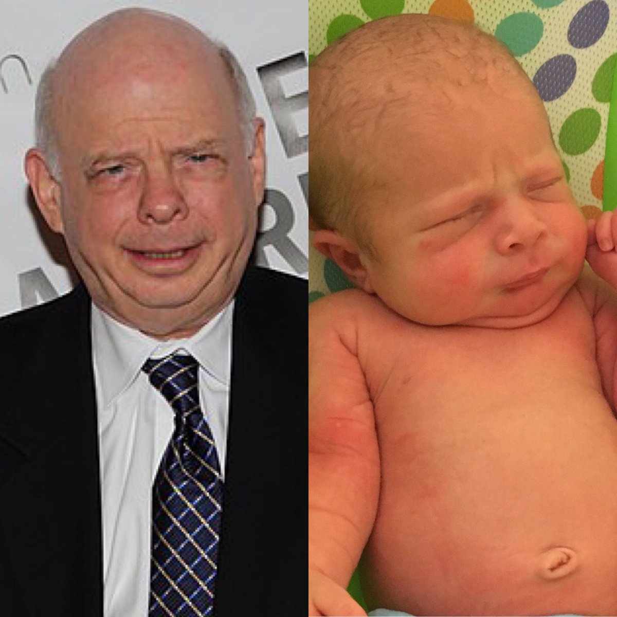 stacyherrick's tweet photo. Just found out #WallaceShawn is going to be at @Steelcitycon in Dec. I feel like I need to take my son to meet him. #twinning #Inconceivable https://t.co/v5eiQ08uiZ