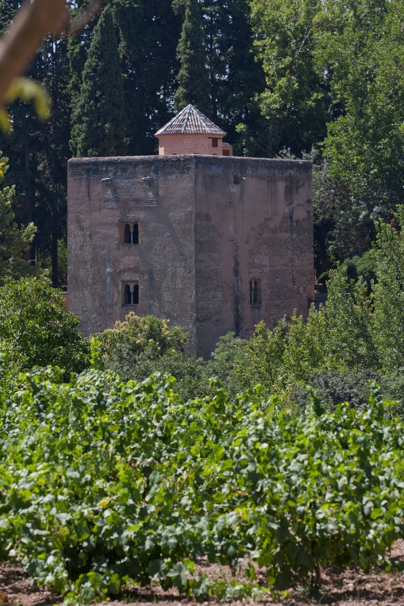 alhambracultura's tweet photo. La Torre de las Infantas, #espaciodelmes de septiembre ➡️ https://t.co/BffEiz5F7D 
📆 Martes, miércoles, jueves y domingos
⏰ De 8.30 a 20 horas
🎟️ Entrada 'Alhambra' y Entrada 'Jardines' https://t.co/UlPJZk6CRU