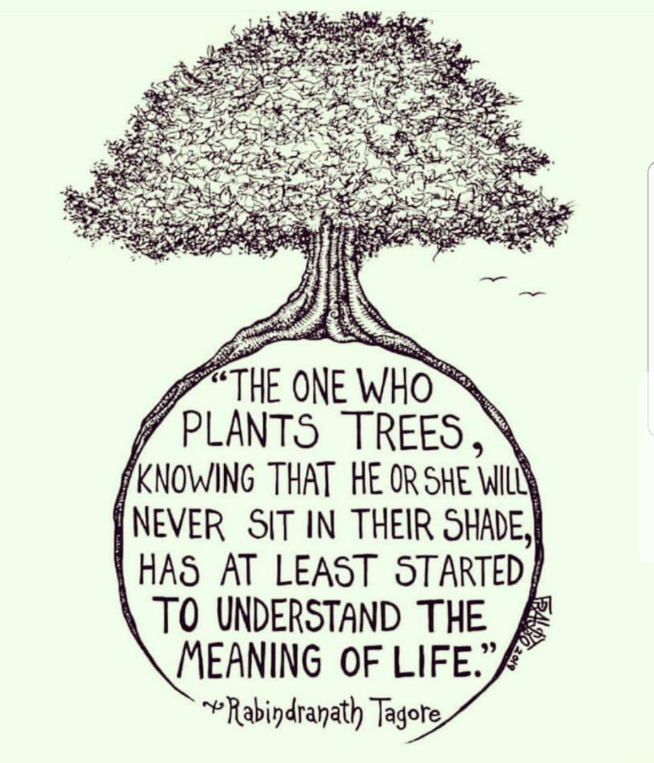 There's a global campaign against climate change. I know we still need basic amenities here but being d 7th most populous country in d world, shouldn't we be involved? Let me know how you think we can contribute our quota. Use #savemotherearth #climatechange #voiceofthedon