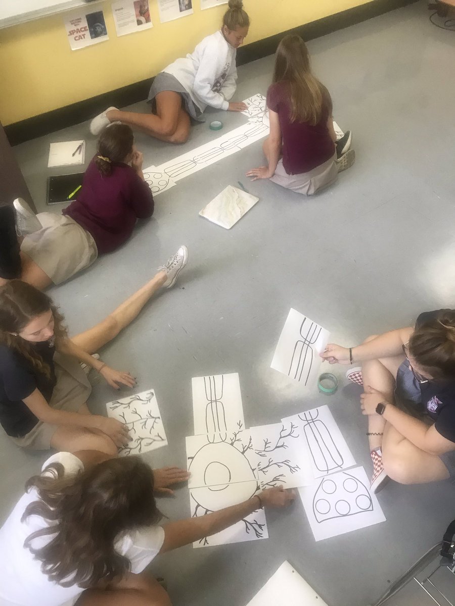 Glenda Pierce on Twitter: "AP Psychology students creating a giant neuron  puzzle. @SFCHawks @a_wehle #sschat #edchat https://t.co/4QxDuvCfBH" /  Twitter