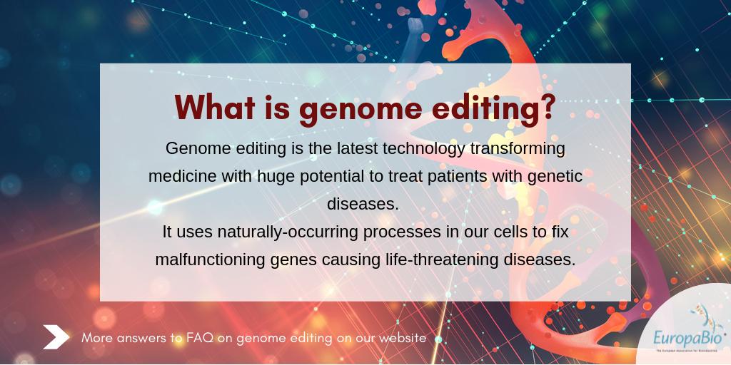 EuropaBio's tweet photo. #GenomeEditing is used in research on a wide variety of diseases and it holds promise for the treatment and prevention of many serious conditions. #HealthcareBiotech #InspiredByLife
๐FAQs on genome editing: https://t.co/sN52TqUlVo https://t.co/I02Zwuhmlg