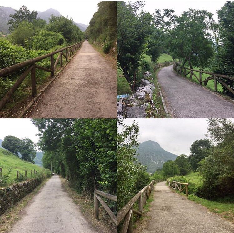 La #sendadeloso #vallesdeloso #Asturias #ParaísoNatural #senderismo #BTT #naturaleza #paisaje