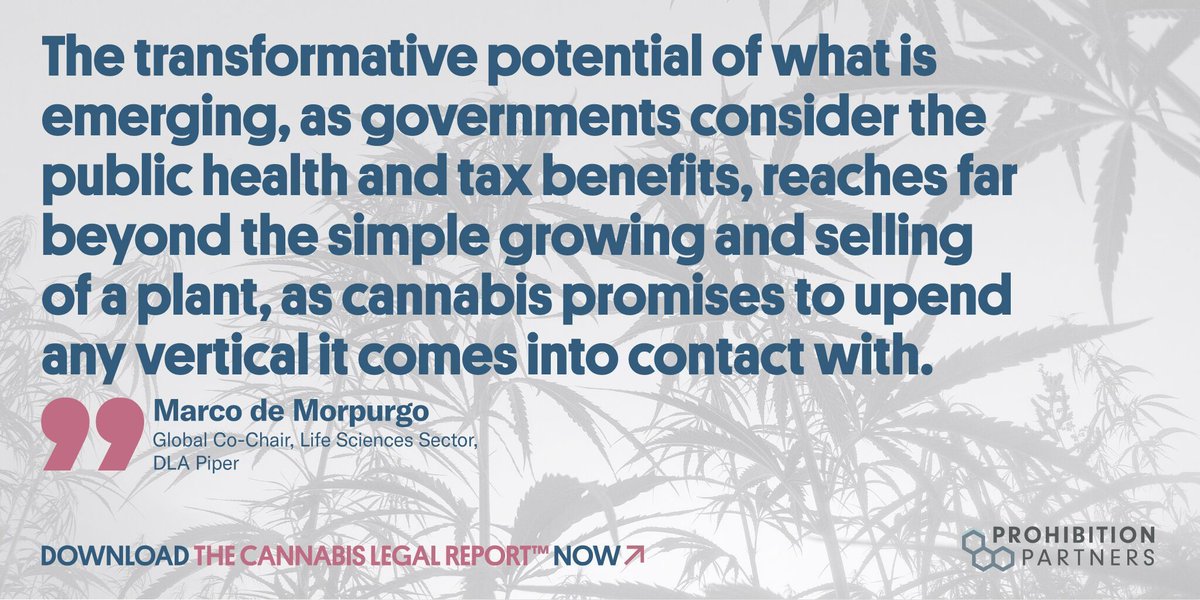The US Congress continues to examine change at the federal level while the European Union begins to develop common standards for a regional market. 

Download The Cannabis Legal Report™ to understand the future of the global cannabis industry: prohibitionpartners.com/reports/#the-c…

#cannabis