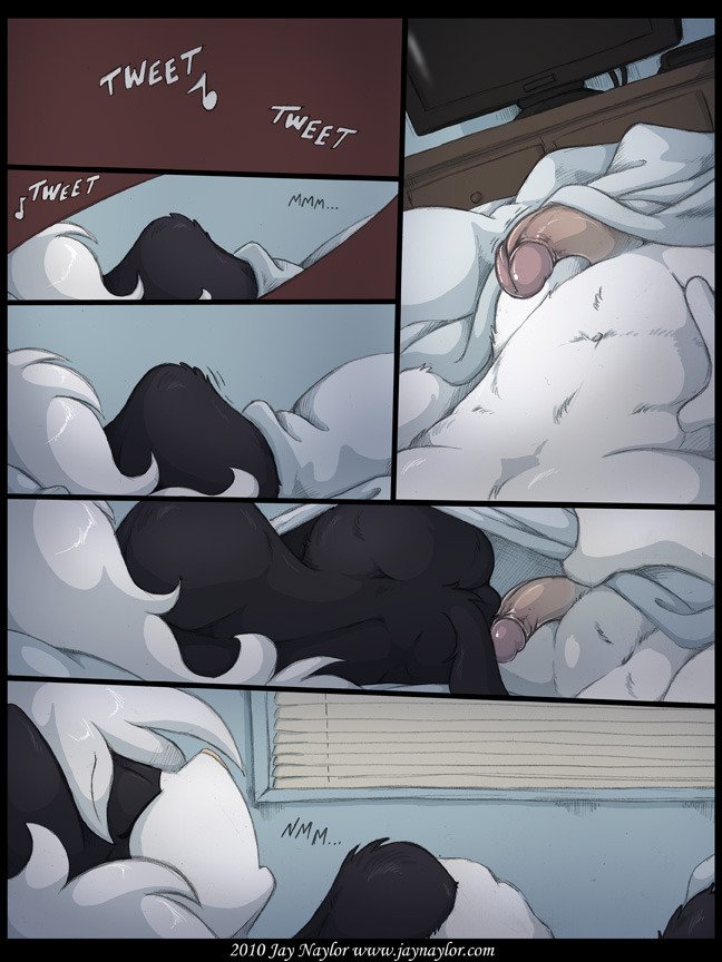 PeculiarFurries's tweet photo. https://t.co/4y8sY1yt3c