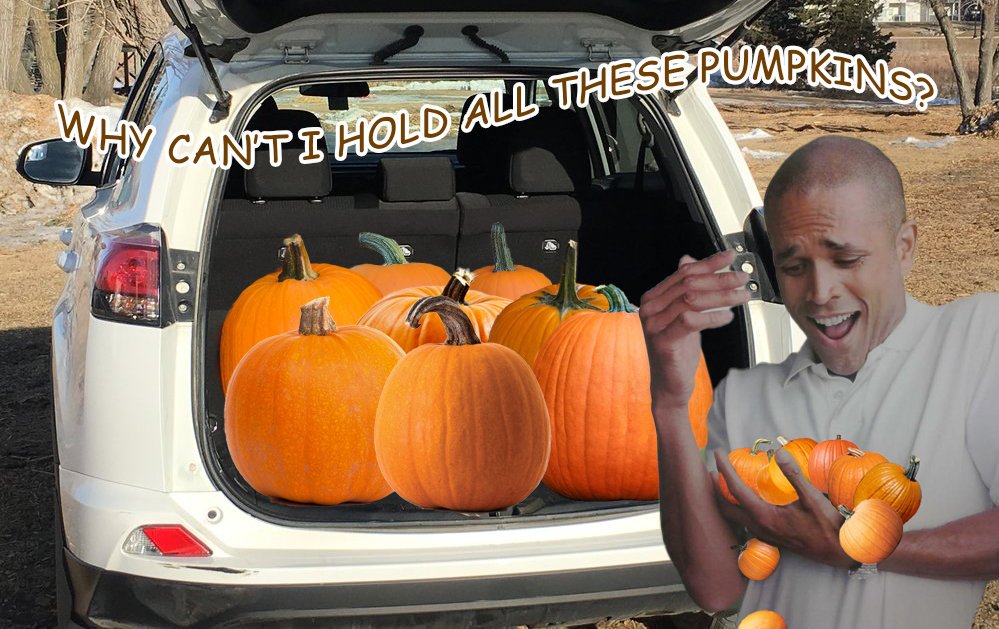 FastWithFrayt's tweet photo. For when you need even MORE pumpkins, we’ve got you covered

#pumpkins #fall #meme #shipping https://t.co/iIfsLbPyGZ