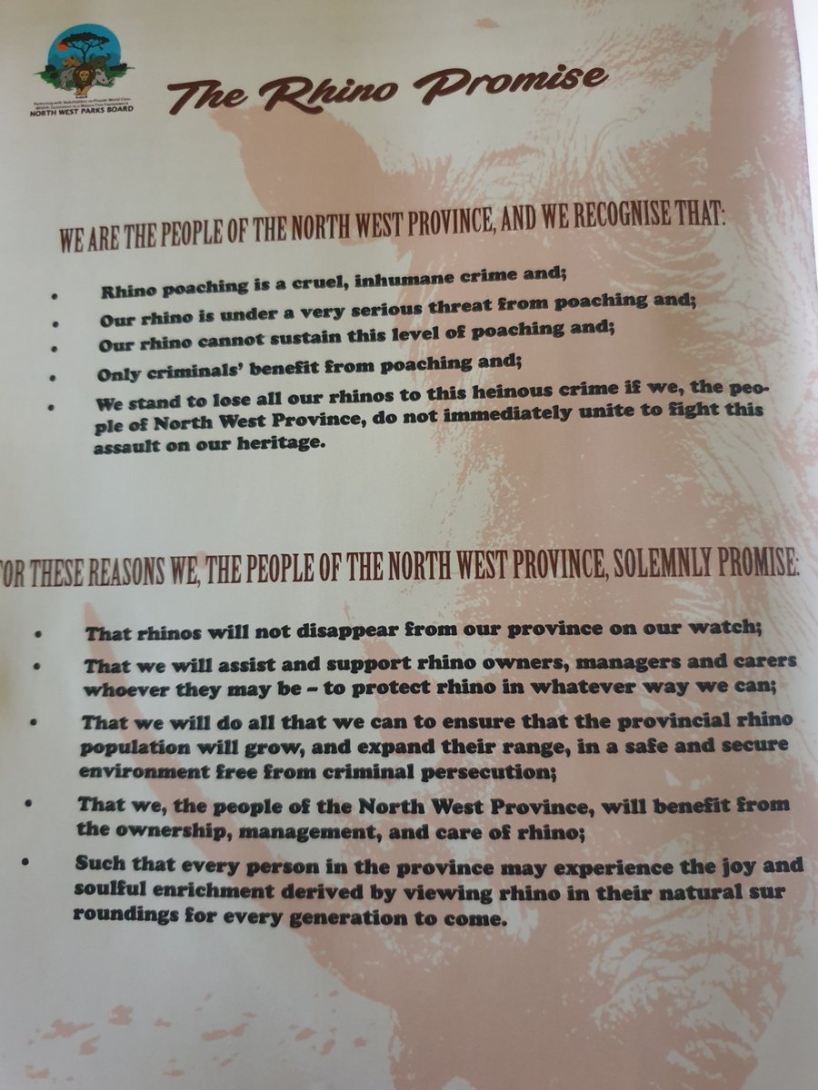 NWP_HOME's tweet photo. Parks Board strengthens partnerships in fighting rhino poaching including traditional leadership of Bakgatla. Parks Board is committed to do all it can to keep the promise made to the public at large during its first Rhino Protection Summit held in 2018. https://t.co/bnt170BmsU