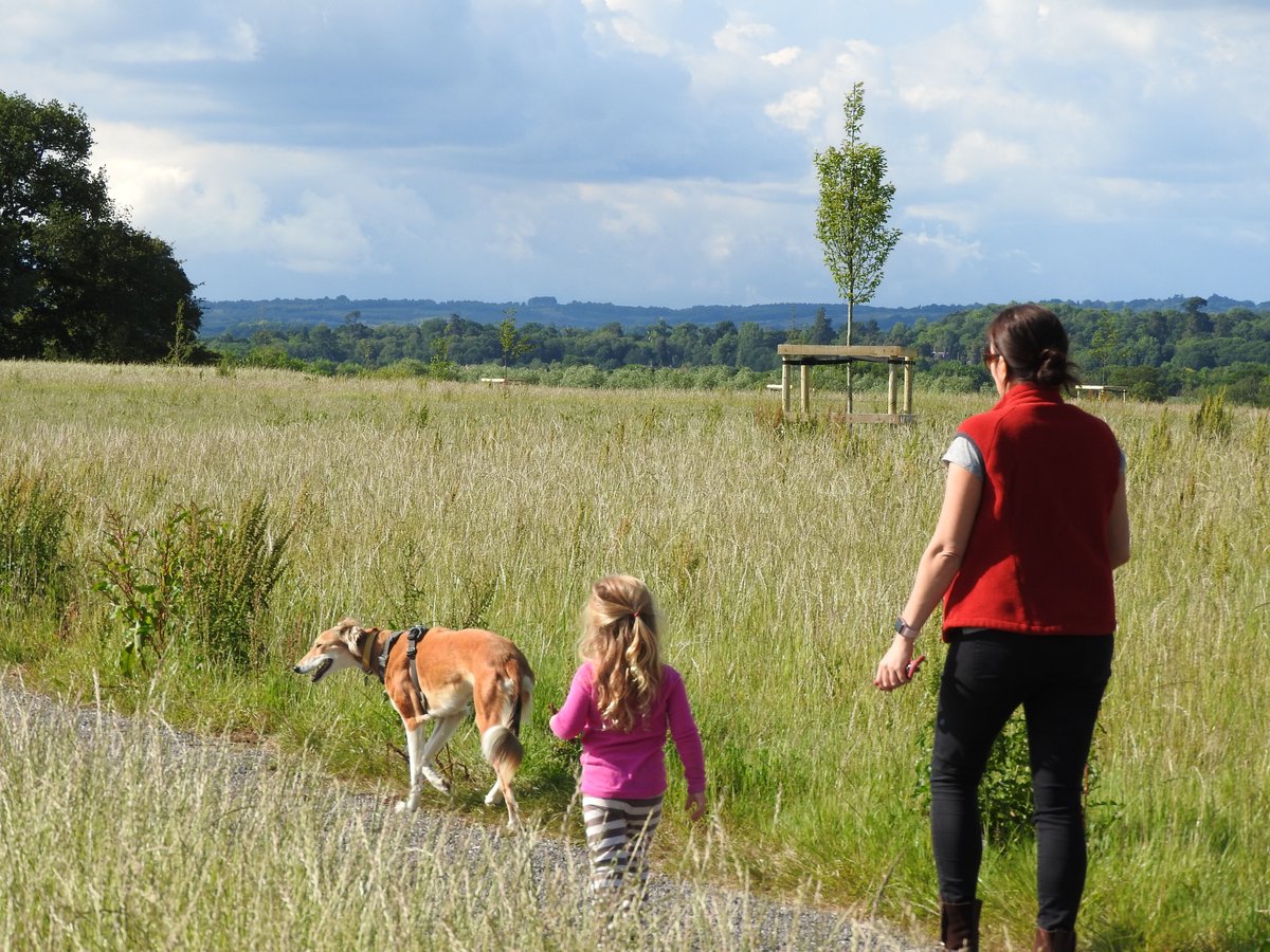 Wealden District Council Stayhomesavelives On Twitter If You