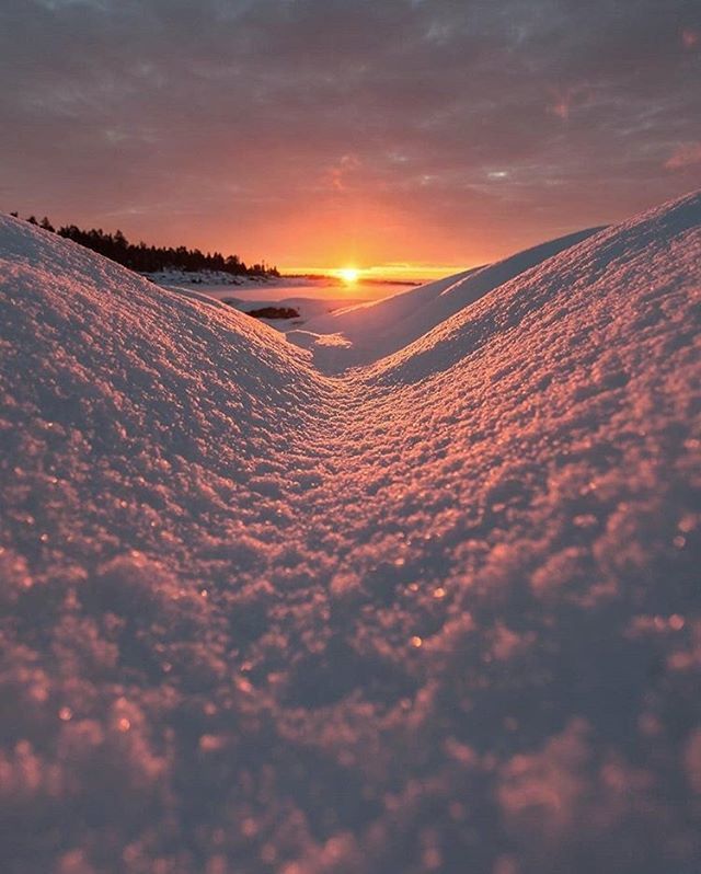 earthroulette's tweet photo. Winter sunrise in Sweden from @wisslaren https://t.co/w1AdQqDry0 https://t.co/uyTb8YTmtk